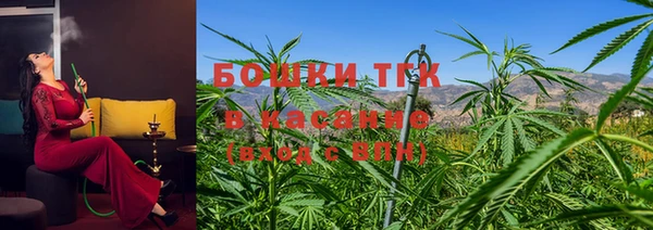 гидра Карталы