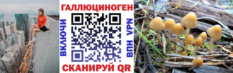 Галлюциногенные грибы ЛСД  Купить где  Олёкминск 
